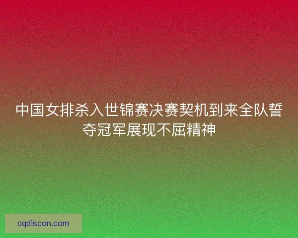 中国女排杀入世锦赛决赛契机到来全队誓夺冠军展现不屈精神