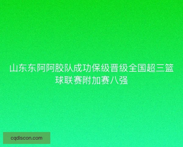 山东东阿阿胶队成功保级晋级全国超三篮球联赛附加赛八强