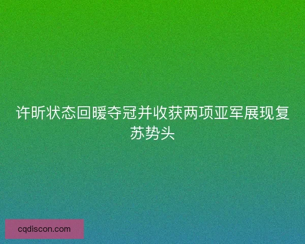 许昕状态回暖夺冠并收获两项亚军展现复苏势头